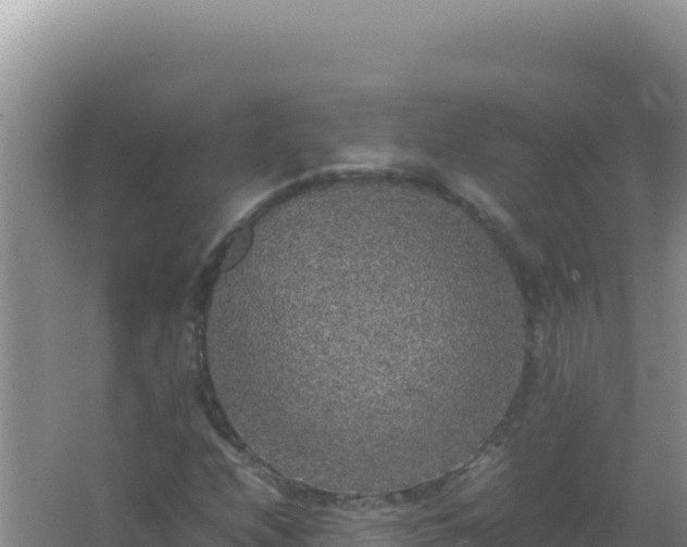 X0000067501208200604150059