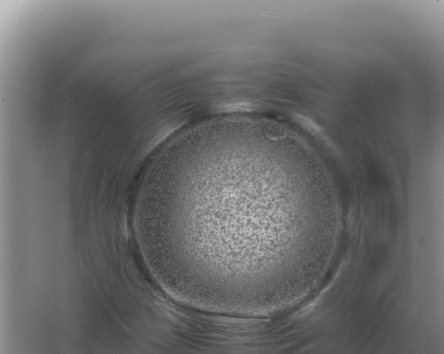 X0000067501209200604150059