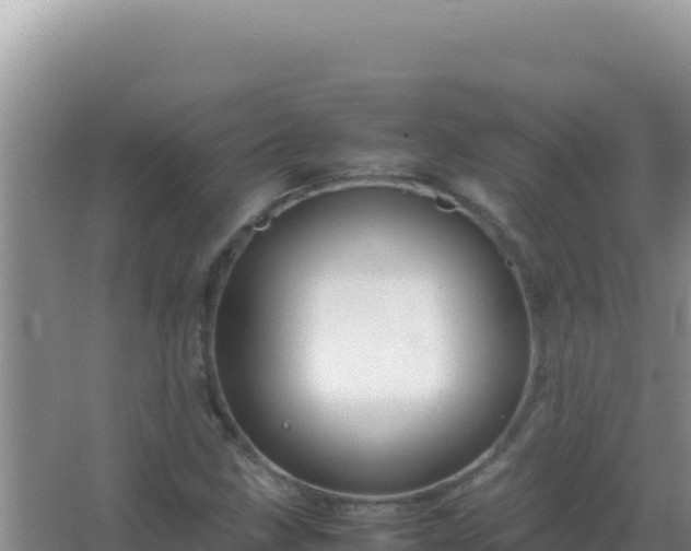 X0000067501211200604150059