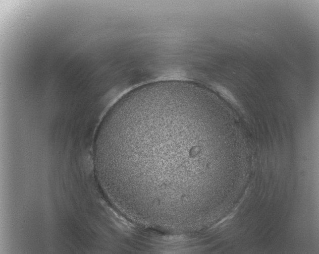 X0000067501212200604150059