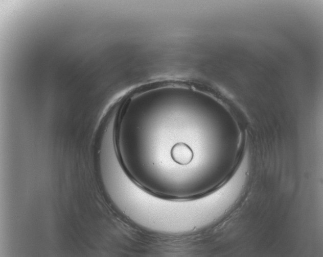 X0000067501214200604150059