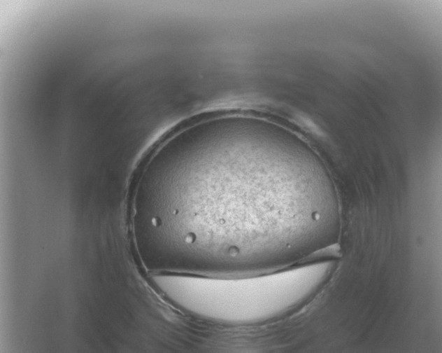 X0000067501216200604150059