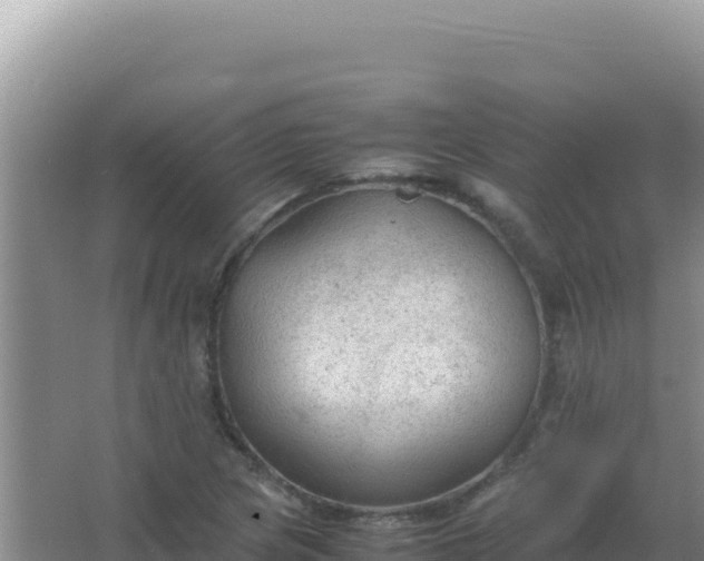 X0000067501217200604150059