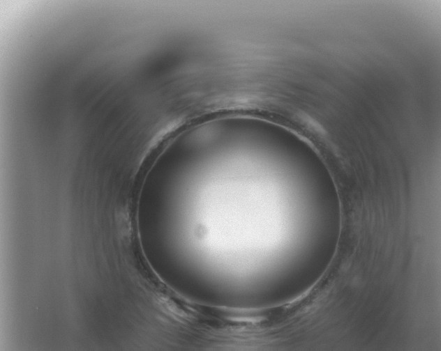 X0000067501218200604150059