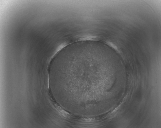 X0000067501219200604150059