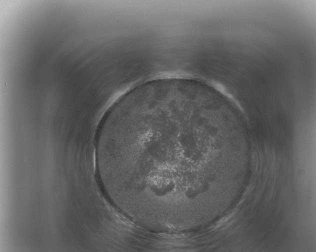 X0000067501221200604150059