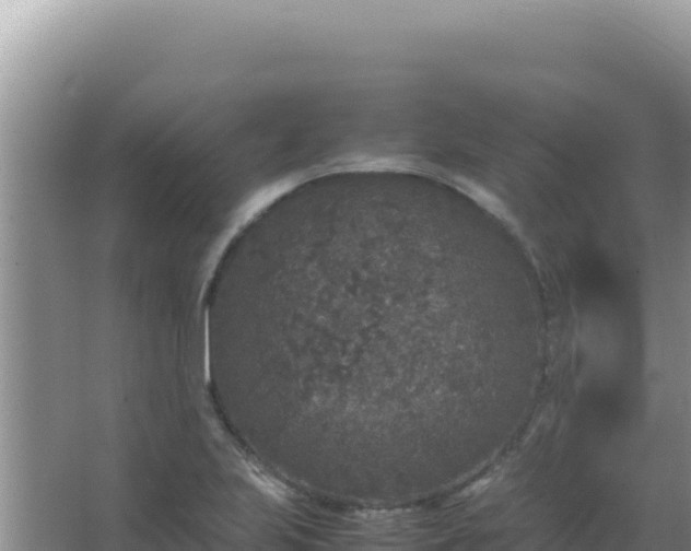 X0000067501223200604150059