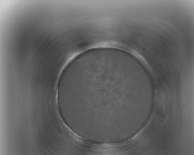 X0000067501224200604150059