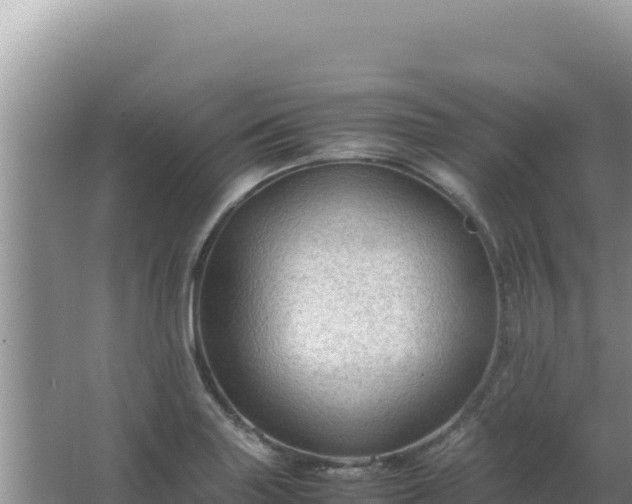 X0000067501227200604150059