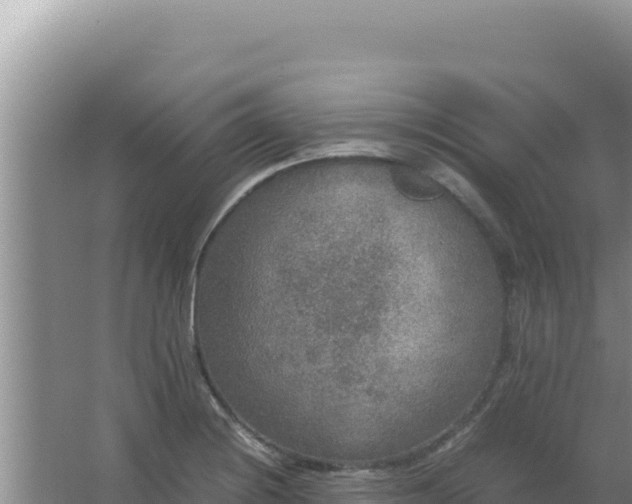 X0000067501228200604150059