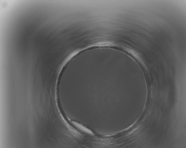 X0000067501229200604150059