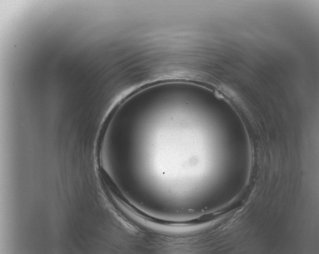 X0000067501230200604150059