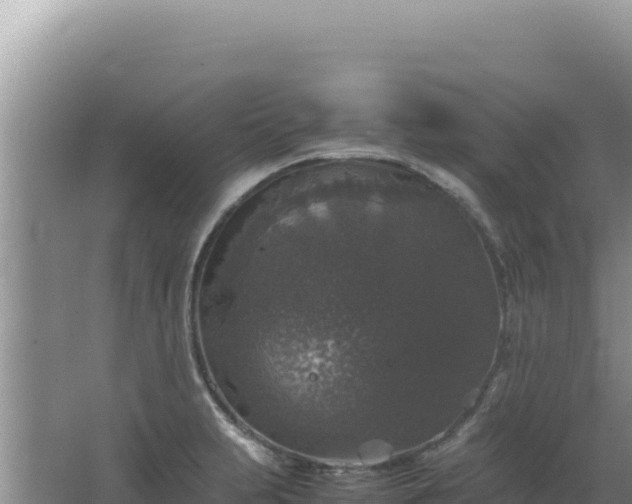 X0000067501231200604150059