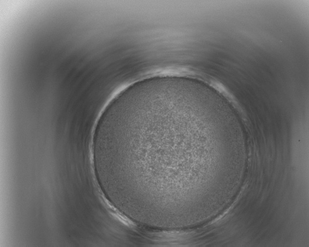 X0000067501232200604150059