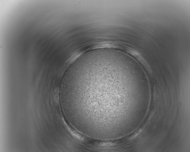 X0000067501233200604150059