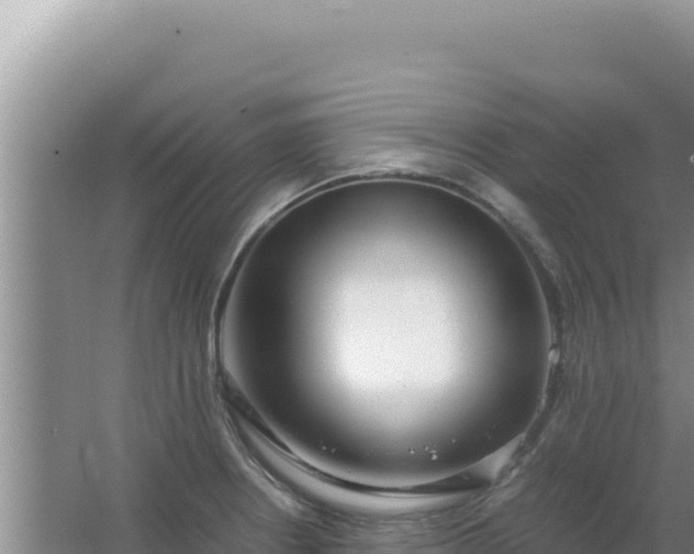 X0000067501234200604150059