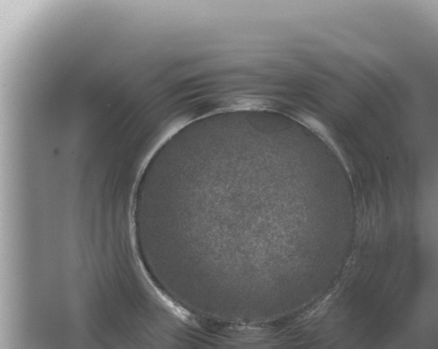 X0000067501235200604150059