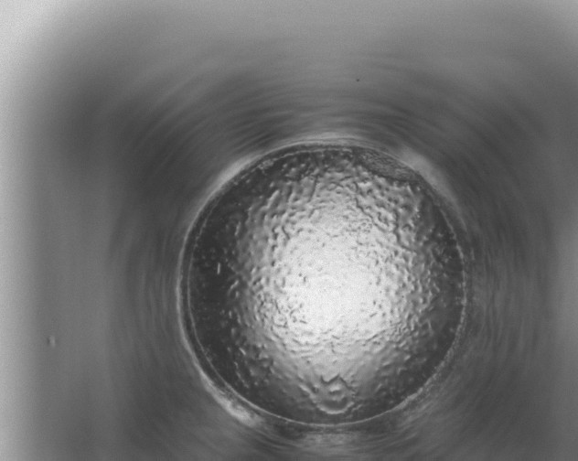 X0000067501237200604150059