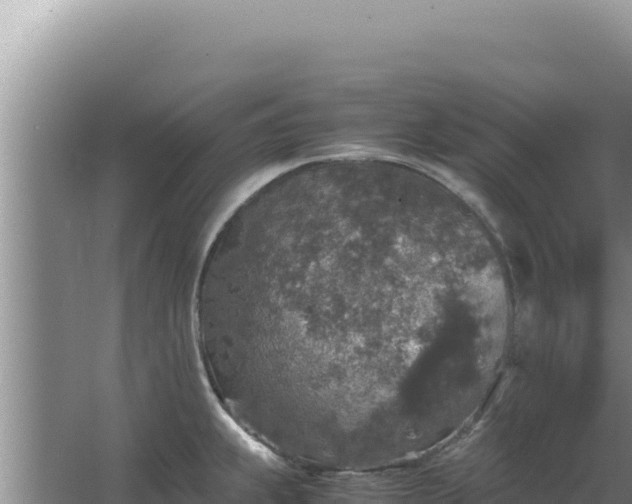 X0000067501239200604150059