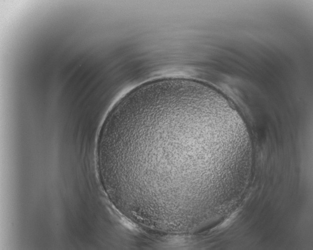 X0000067501240200604150059