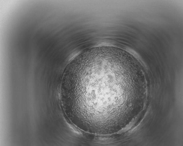 X0000067501241200604150059