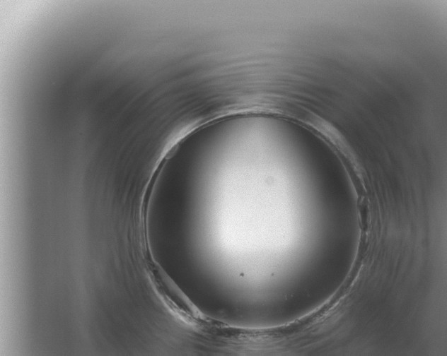 X0000067501242200604150059