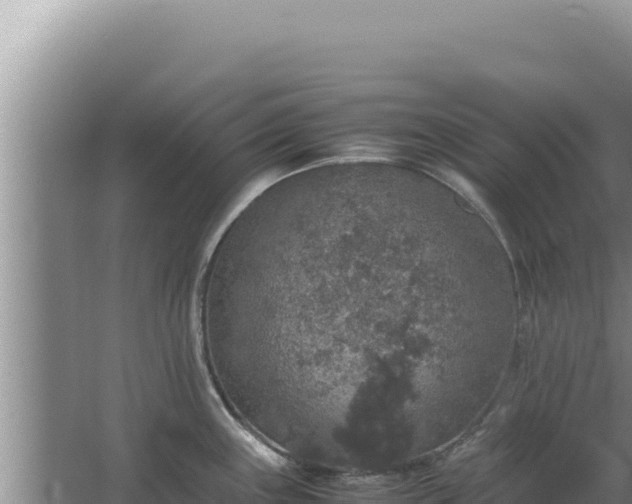 X0000067501243200604150059