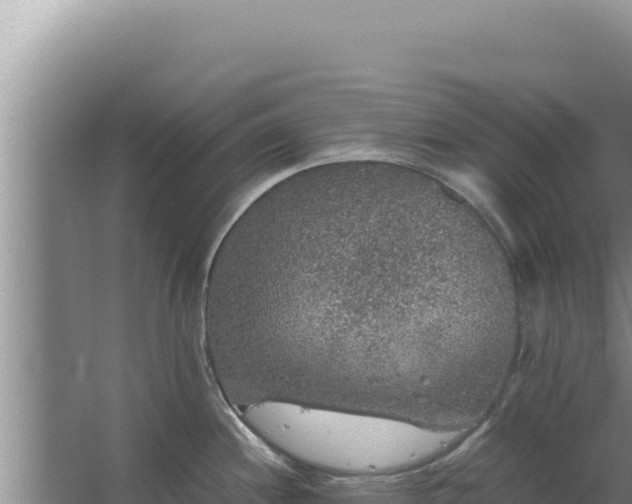 X0000067501244200604150059