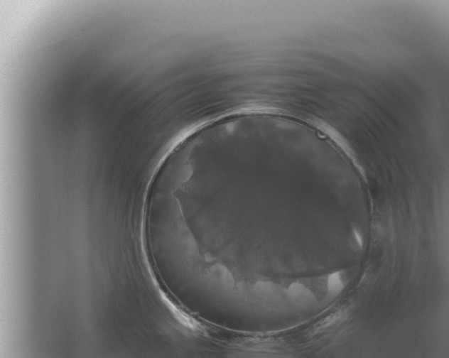 X0000067501245200604150059