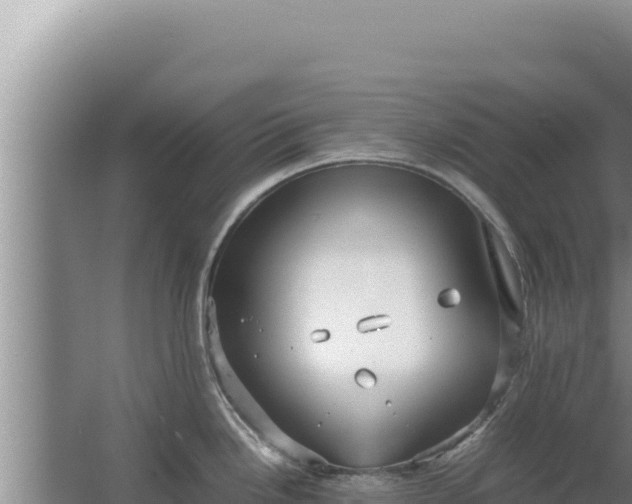 X0000067501246200604150059