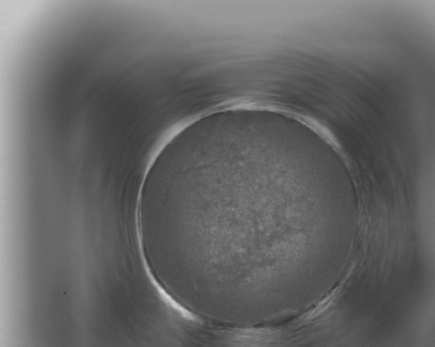 X0000067501247200604150059