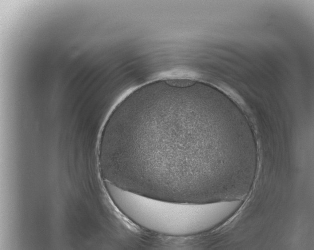 X0000067501248200604150059