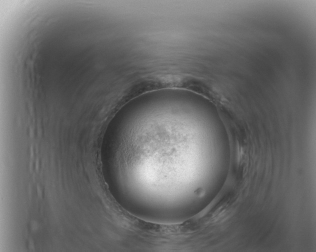 X0000067501249200604150059