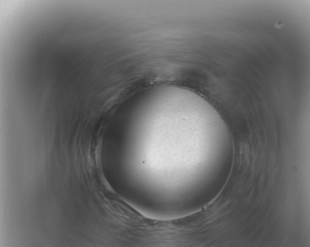 X0000067501250200604150059