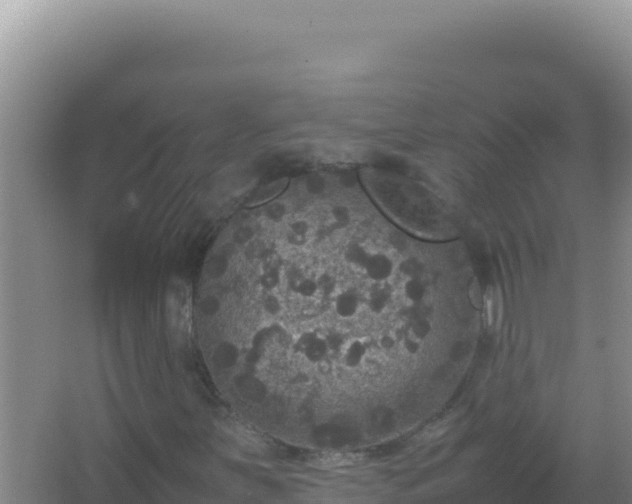 X0000067501251200604150058