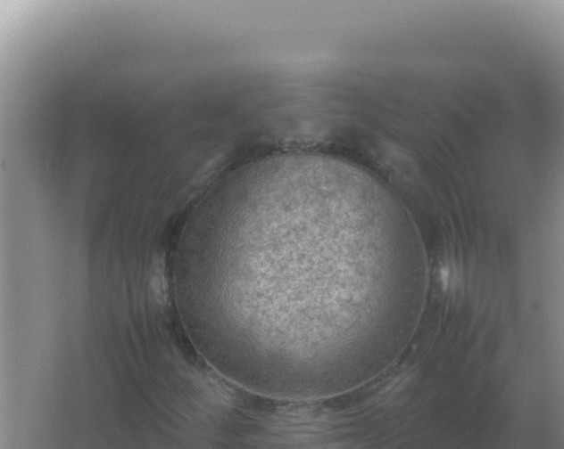 X0000067501252200604150058