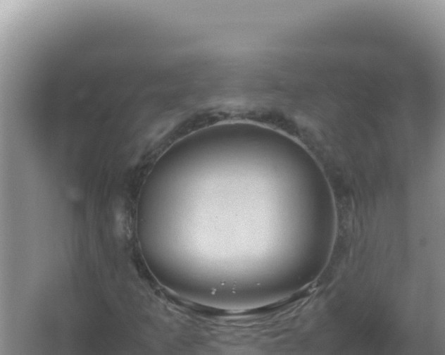 X0000067501253200604150058