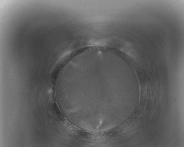 X0000067501254200604150058