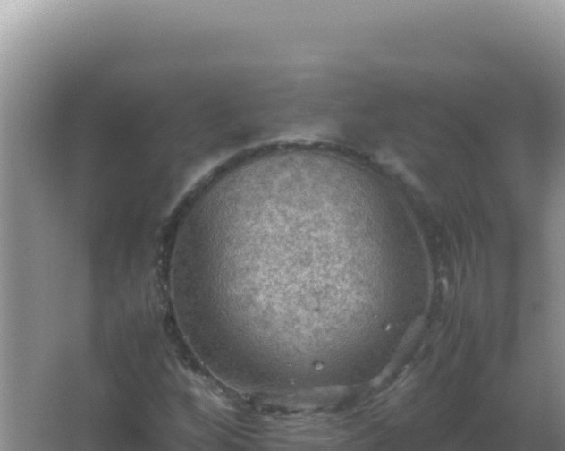 X0000067501256200604150058