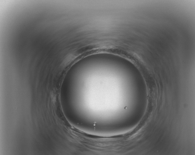 X0000067501257200604150058