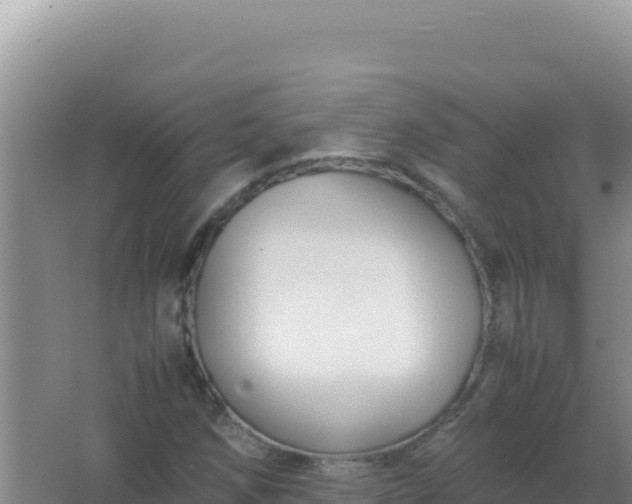 X0000067501258200604150058