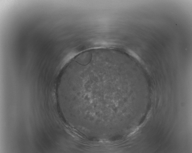 X0000067501259200604150058