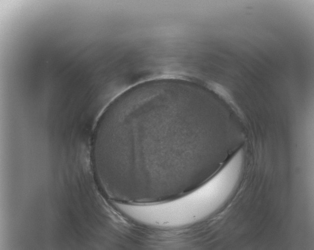 X0000067501260200604150058