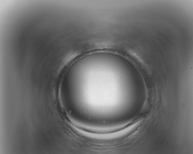 X0000067501261200604150058