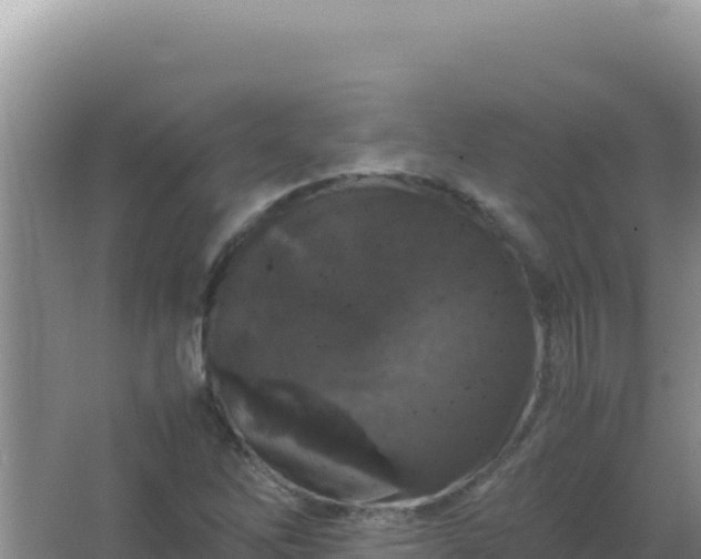 X0000067501262200604150058