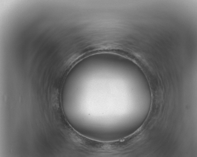 X0000067501265200604150058