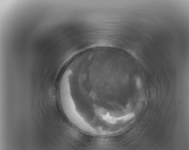 X0000067501266200604150058