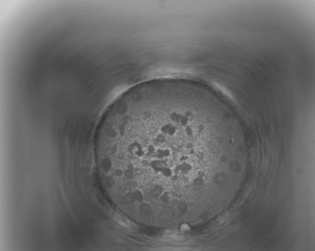 X0000067501267200604150058