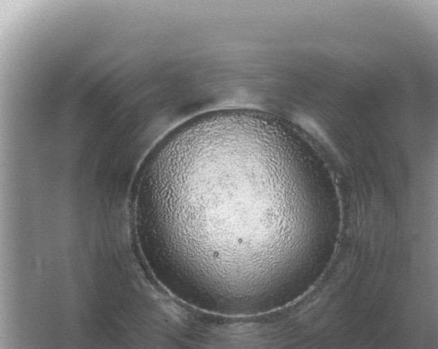 X0000067501268200604150058