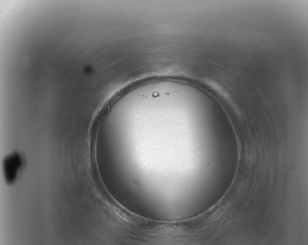 X0000067501270200604150058